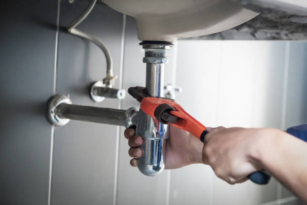 Best Local Plumber Services  in Paris, MO